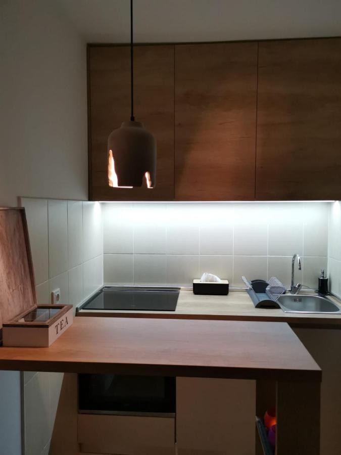 Studio Apartment Art Zone Podgoriçe Dış mekan fotoğraf